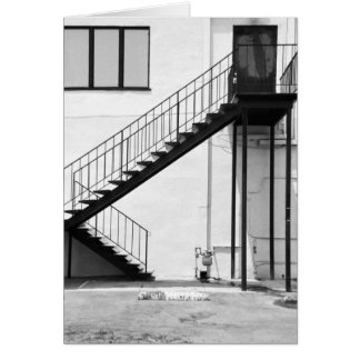 Staircase in Black and White Cards