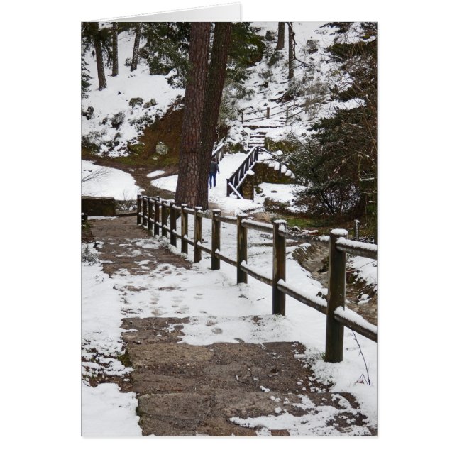 Staircase in the Snow, Blank Inside Cards (Front)
