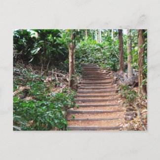 Stairs in Their Natural Habitat Postcard