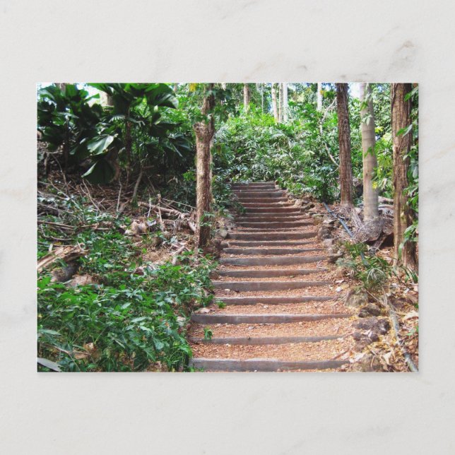 Stairs in Their Natural Habitat Postcard (Front)