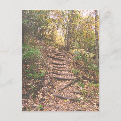 Stairs Into The Forest Postcard