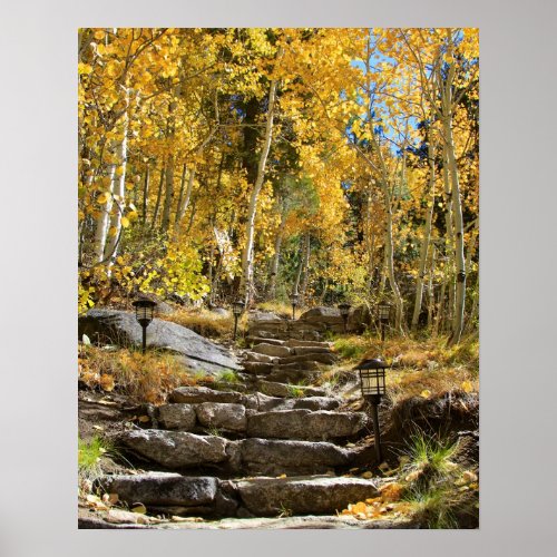 Stairway to Autumn Quaking Aspen Portrait Poster