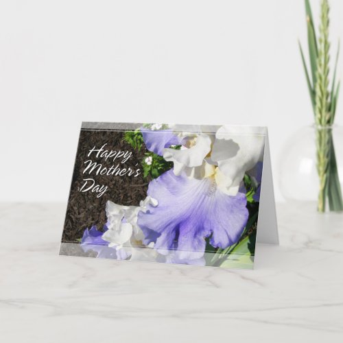 Stairway to Heaven Bearded Iris Mothers Day Cards