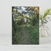 Stairway to the trees (Standing Front)