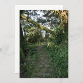 Stairway to the trees (Front/Back)