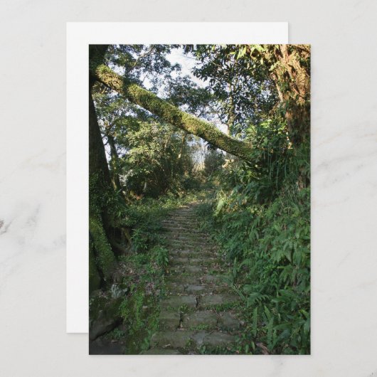 Stairway to the trees (Front/Back)