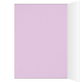 Stalieye Card (Inside (Left))