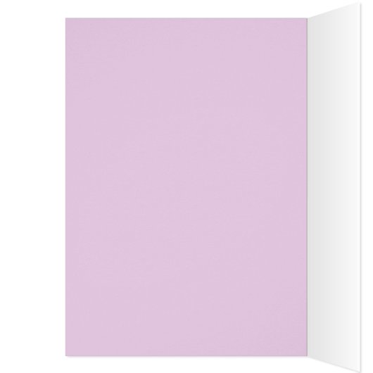 Stalieye Card (Inside (Left))