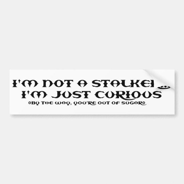 STALKER2 BUMPER STICKER (Front)