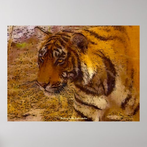 Stalking Bengal Tiger Fine Art Wildlife Poster