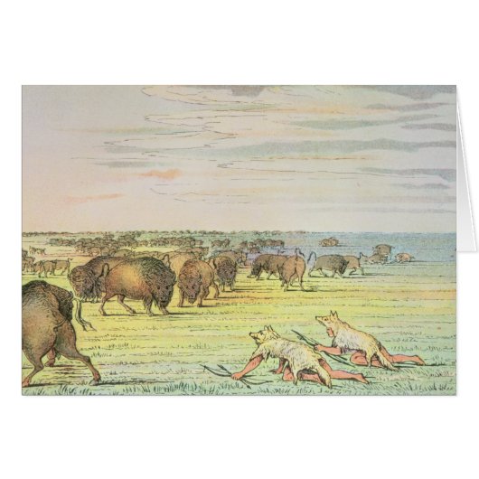 Stalking buffalo cards (Front Horizontal)
