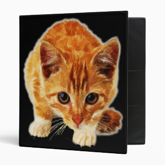 Stalking Kitten Staring at You 3 Ring Binder