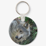 Stalking Wolf Keychain
