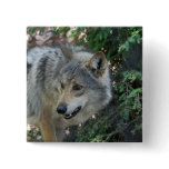 Stalking Wolf Pin