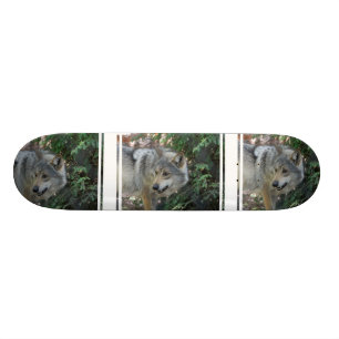 Stalking Wolf Skateboard Deck