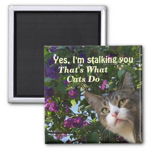 Stalking You Peeking Cat Magnet