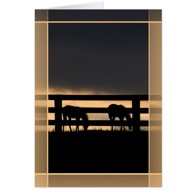 Stallion Farm Incoming Storm (Front)