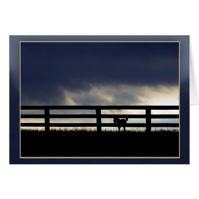 Stallion Farm Silhouette Cards (Front Horizontal)
