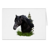 stallion.final (Front Horizontal)