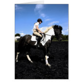 stallion fresco card (Front)