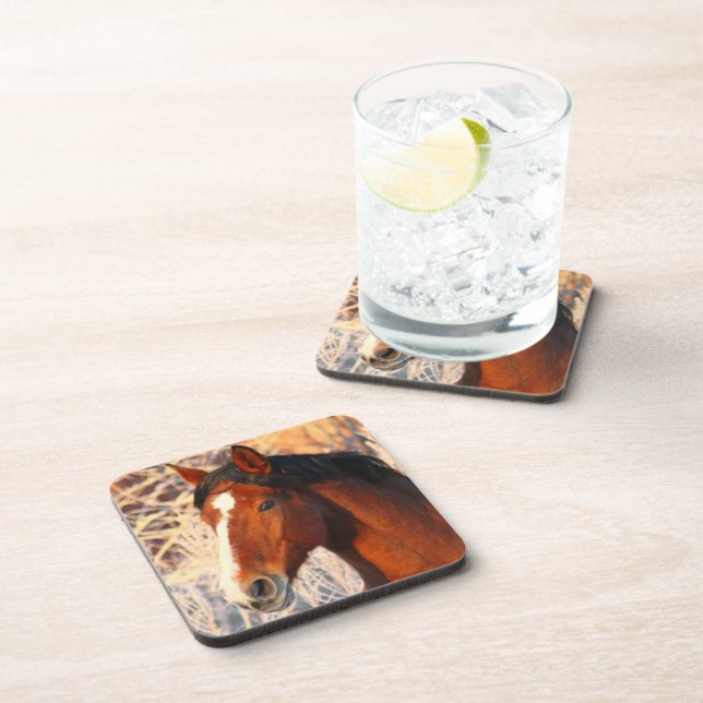 Stallion Horse Coaster (Right Side)