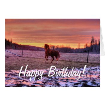 Stallion Running Home At Sunset On Ranch by RavenSpiritPrints at Zazzle