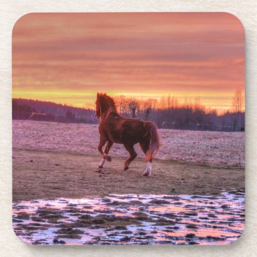 Stallion Running Home at Sunset on Ranch Beverage Coaster