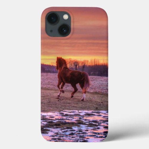 Stallion Running Home at Sunset on Ranch iPhone 13 Case