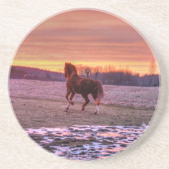 Stallion Running Home at Sunset on Ranch Drink Coaster (Front)