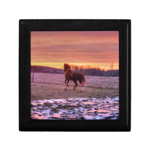Stallion Running Home at Sunset on Ranch Keepsake Box