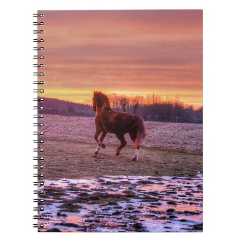 Stallion Running Home at Sunset on Ranch Notebook