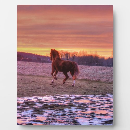 Stallion Running Home at Sunset on Ranch Plaque