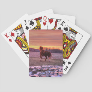 Stallion Running Home at Sunset on Ranch Poker Cards