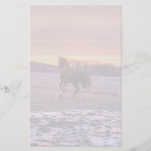 Stallion Running Home at Sunset on Ranch Stationery