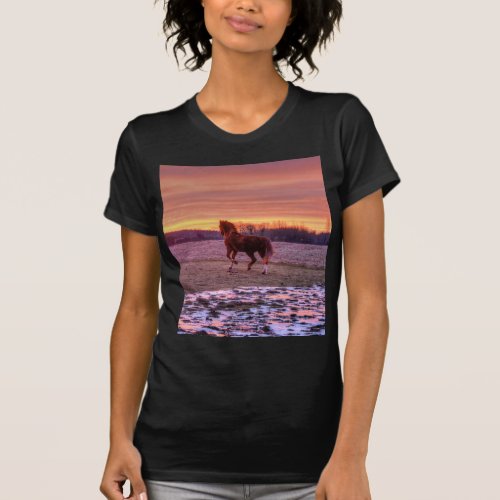 Stallion Running Home at Sunset on Ranch T_Shirt