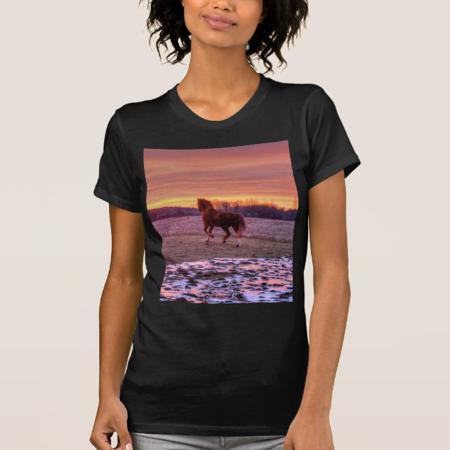 Stallion Running Home at Sunset on Ranch T-Shirt (Front)