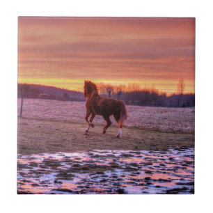 Stallion Running Home at Sunset on Ranch Tile