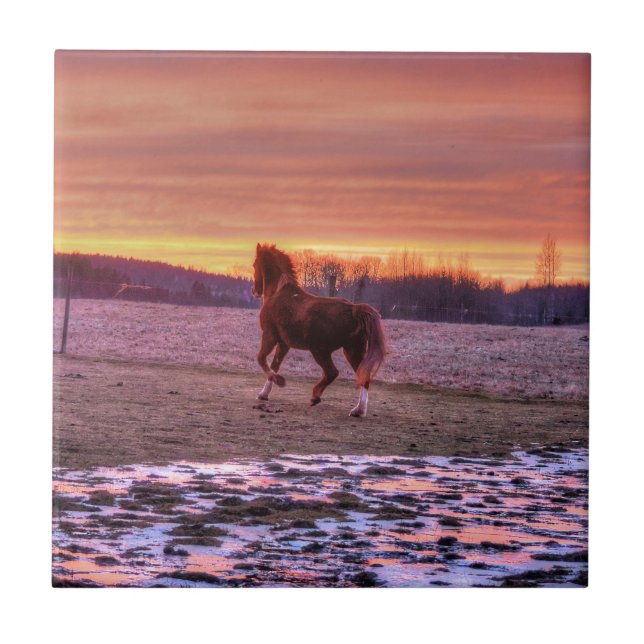 Stallion Running Home at Sunset on Ranch Tile (Front)