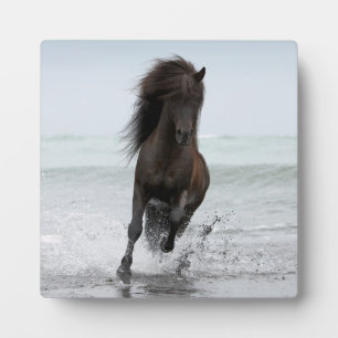 Stallion Running On Beach   North Atlantic Plaque