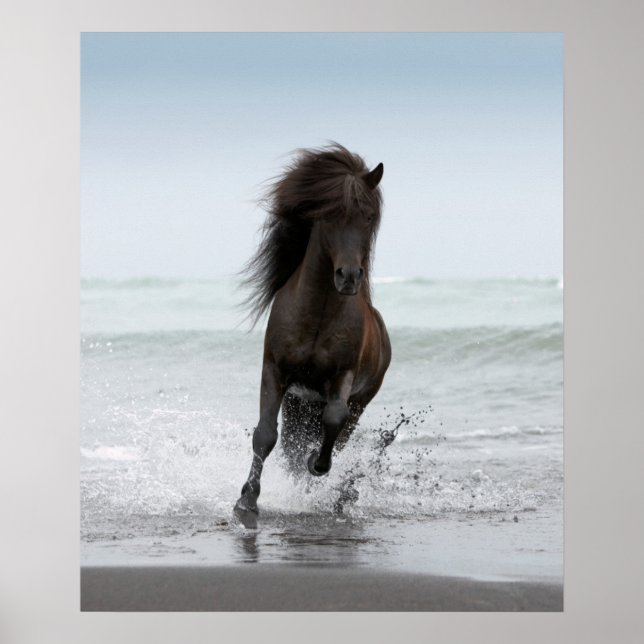 Stallion Running On Beach | North Atlantic Poster (Front)