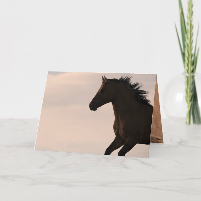 Stallion Runs at Sunrise Wild Horse Greeting Card (Front)