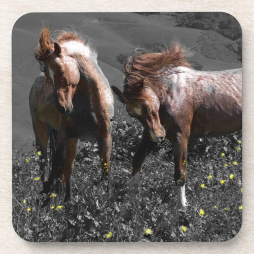 Stallion Spar Drink Coaster