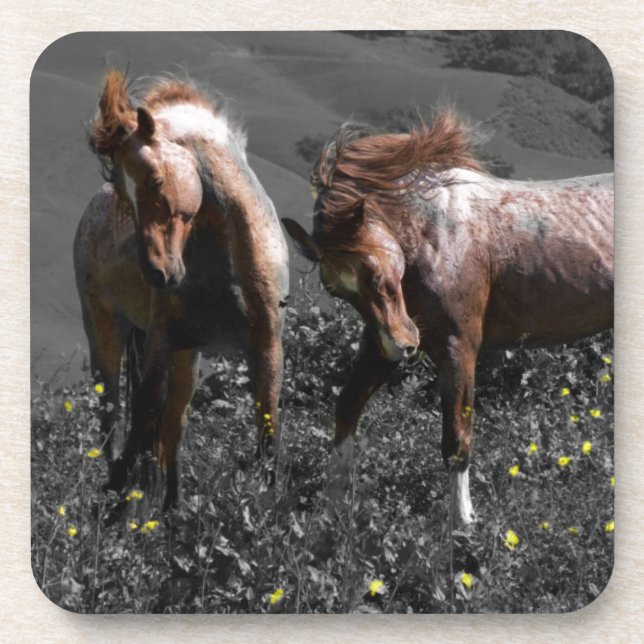 Stallion Spar Drink Coaster (Front)