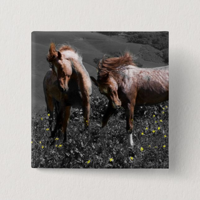 Stallion Spar Pinback Button (Front)
