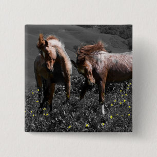 Stallion Spar Pinback Button