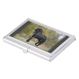 Stallion Strut Business Card Holder