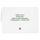 Stallion Strut Cards (Back Horizontal)