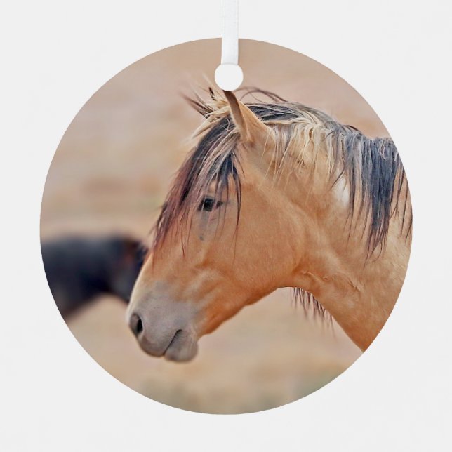 Stallion watching ornament (Front)