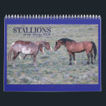 "Stallions" MustangWild 2026 Calendar<br><div class="desc">Oregon's South Steens mustang stallions 12-month 2026 Calendar.</div>