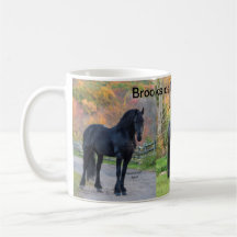 Stallions of Brookside Friesians LLC